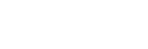 Nascar Racing Team